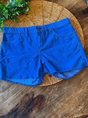 Carve Designs Women's Blue Corduroy Shorts with Raw Hem